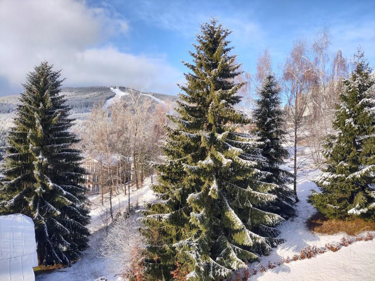 Triluzkovy Pokoj Pension Kubu Špindlerŭv Mlýn Exterior foto